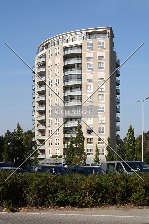 View from the south