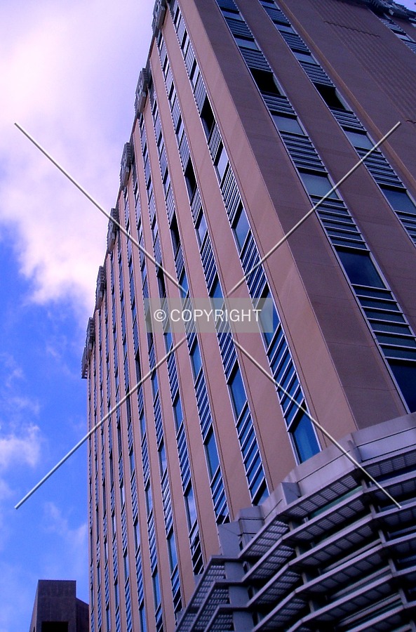 Photo 324-287-460