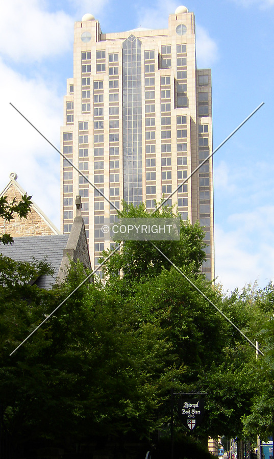 Through the treetops along 6th Avenue North