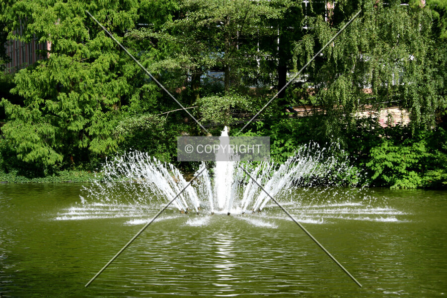 Photo 326-261-111