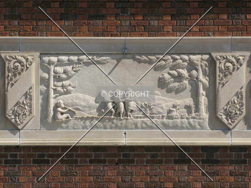 Photo 326-317-215