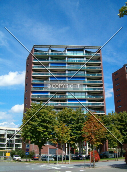 Photo 327-302-893