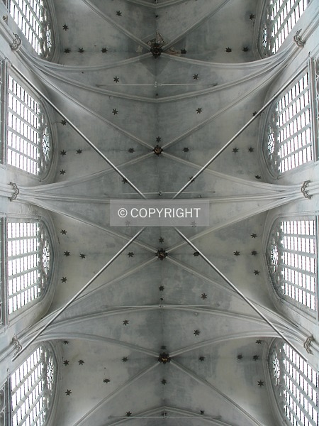 Photo 329-344-541