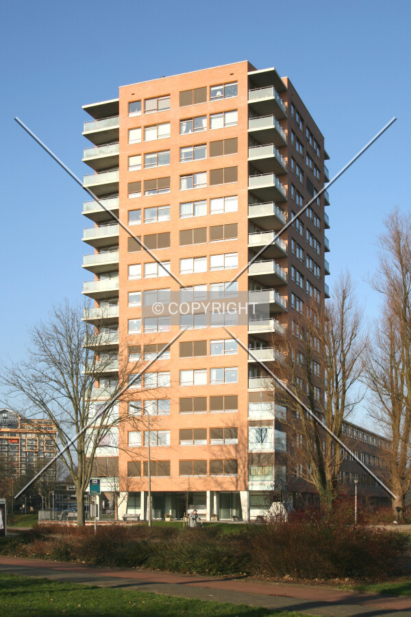 View from the south