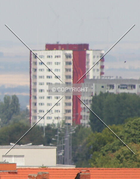 Photo 330-172-703
