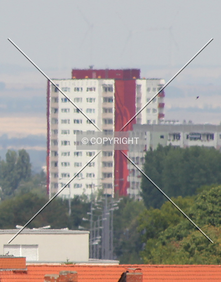 Photo 330-172-703