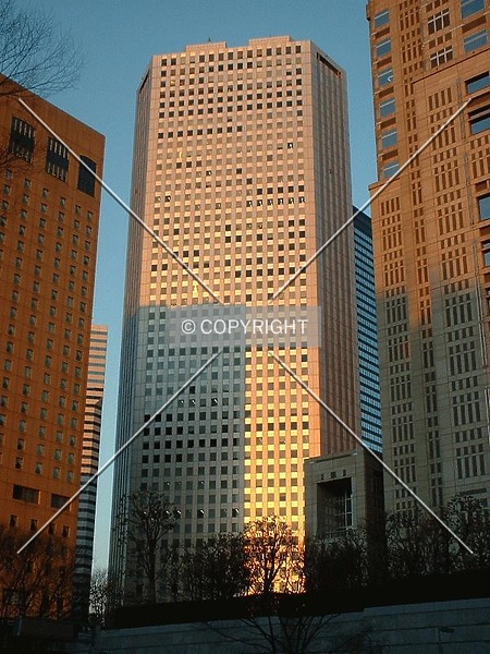Photo 331-229-403