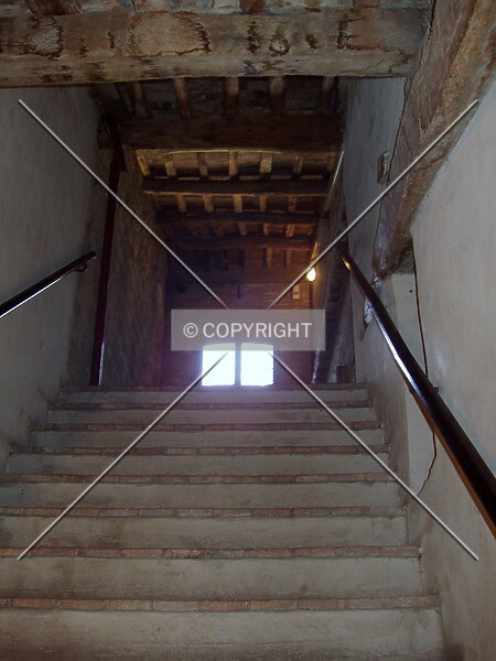 Photo 332-096-997