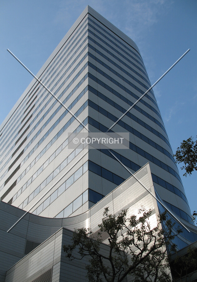 Looking up from the northeast