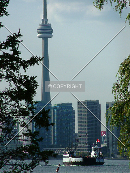 Photo 334-229-164