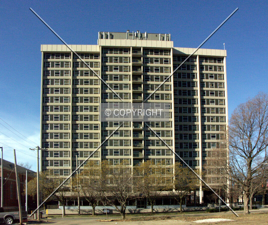 View from the east