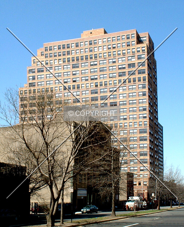 View from the east