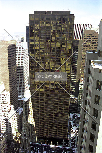 Photo 337-209-933