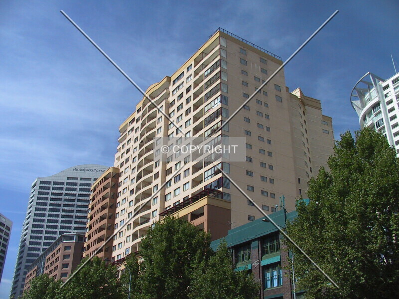 Photo 337-350-342