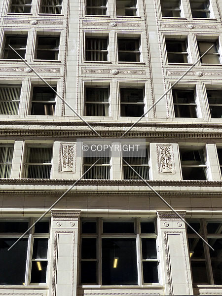 Photo 338-290-533
