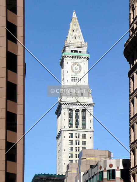 Photo 338-931-733