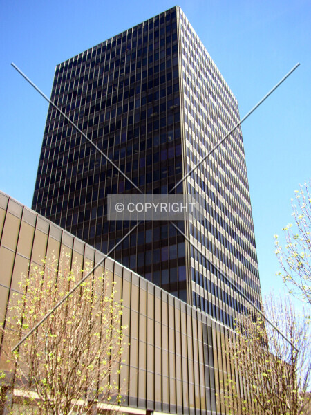 Photo 340-996-138