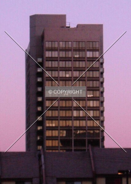 Photo 341-324-450
