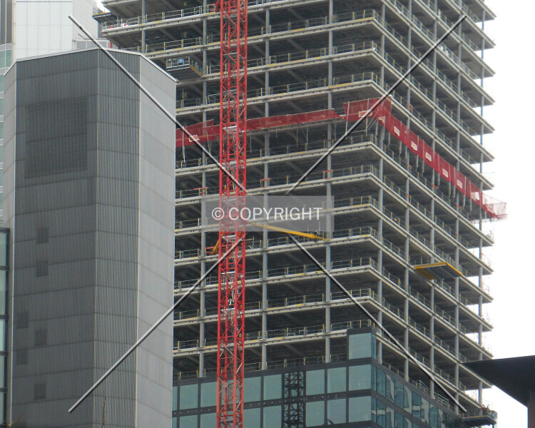 Photo 342-261-566
