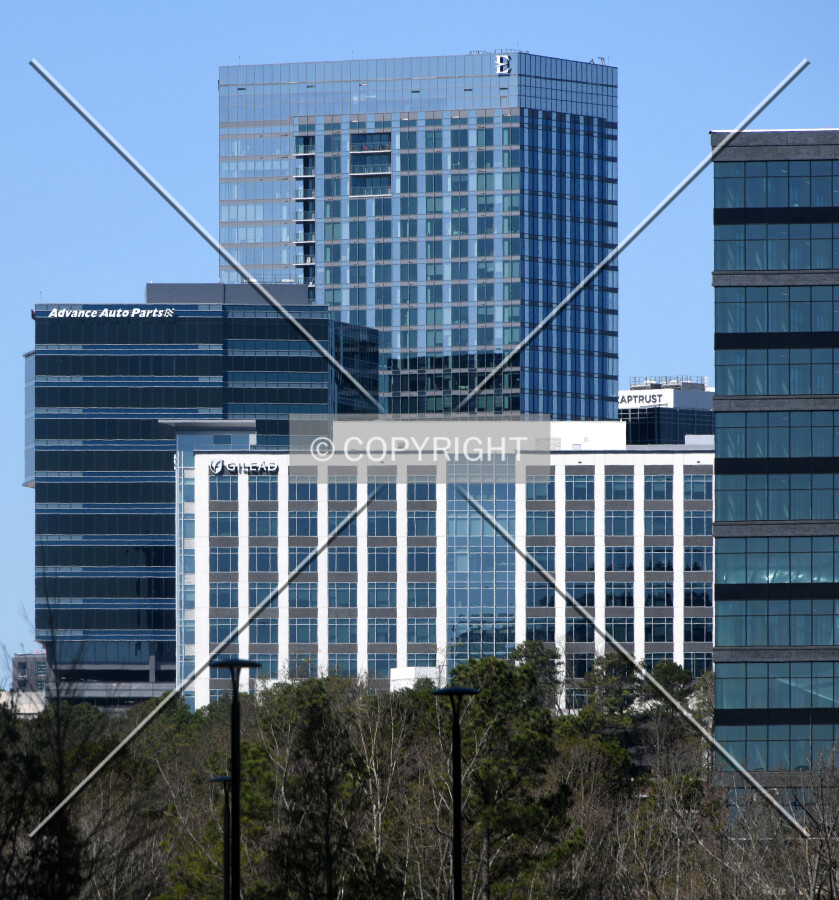 View from the southeast