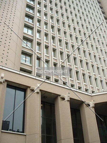 Photo 343-955-456