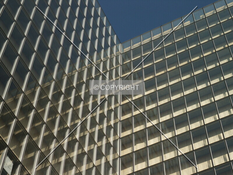 Photo 344-276-182