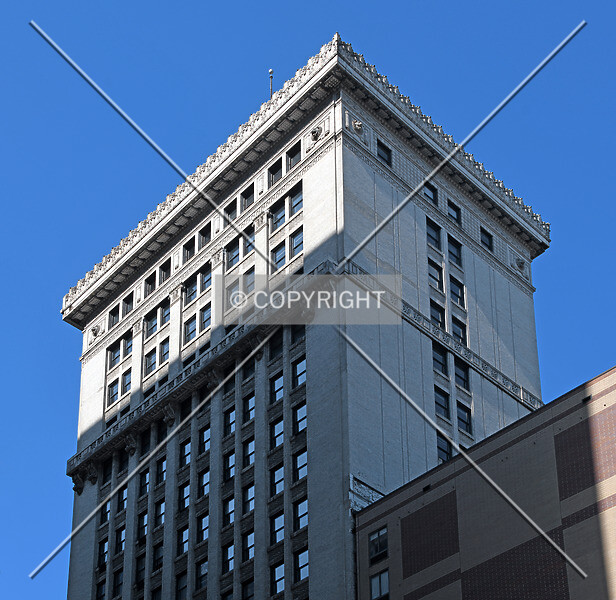 Photo 346-201-539