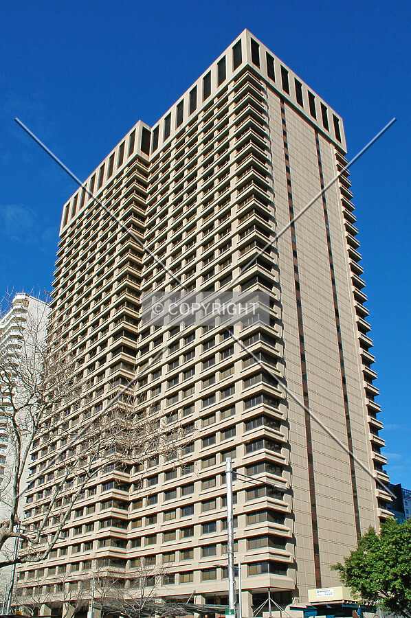 Looking up from Hyde Park
