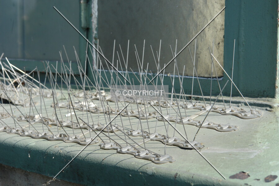 Photo 348-159-060