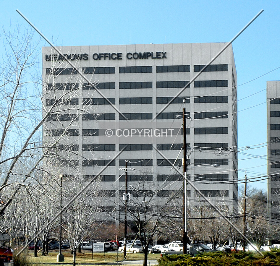 View from the southeast