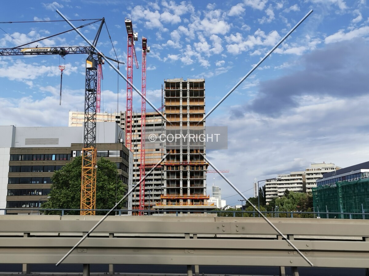 Photo 349-218-277