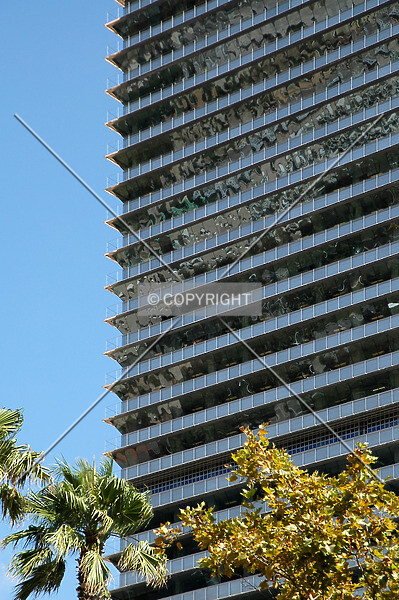 Photo 349-335-786