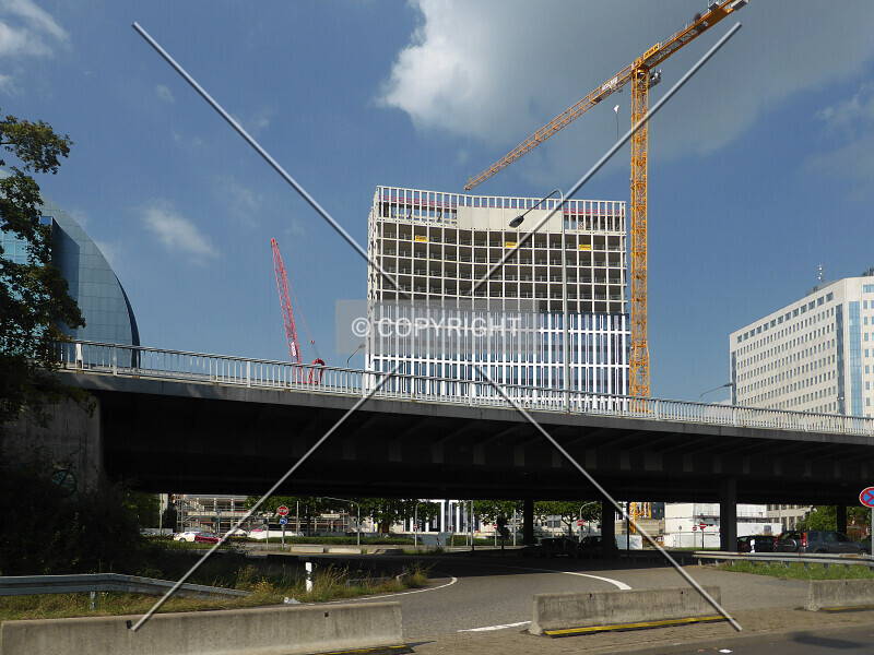 Photo 350-039-065
