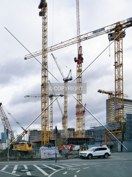 Photo 350-396-453