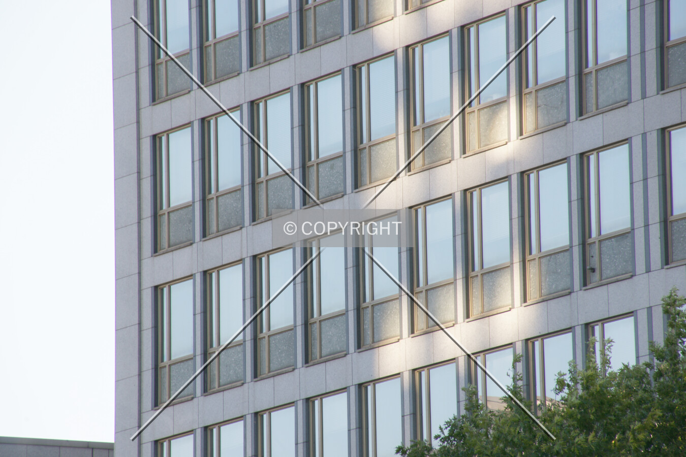 Photo 350-959-527