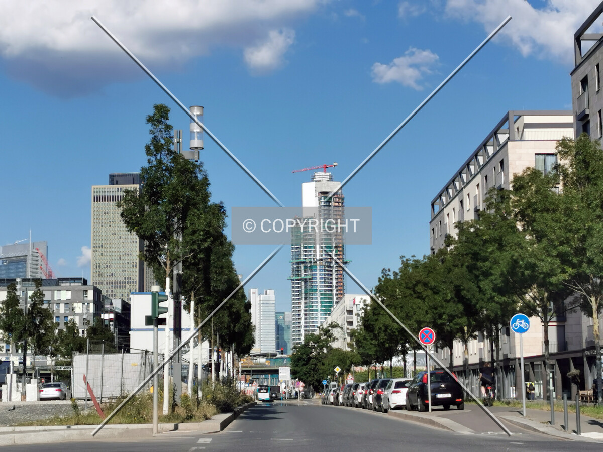 Photo 352-297-359