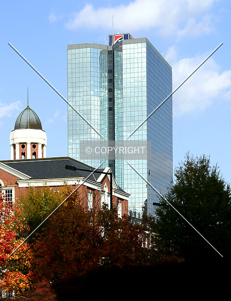Photo 353-042-482