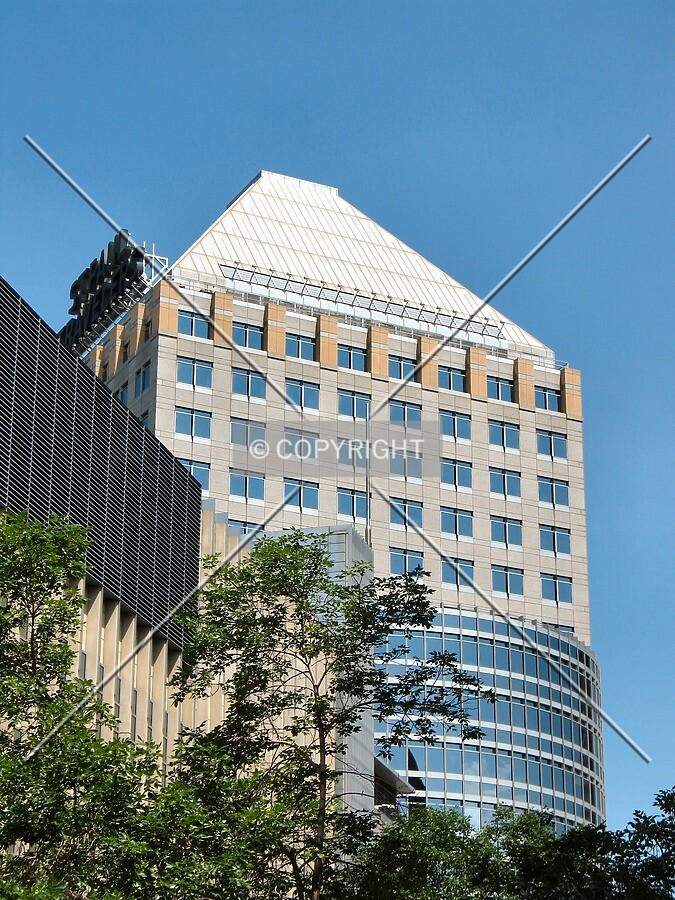 Top from the Rice Park