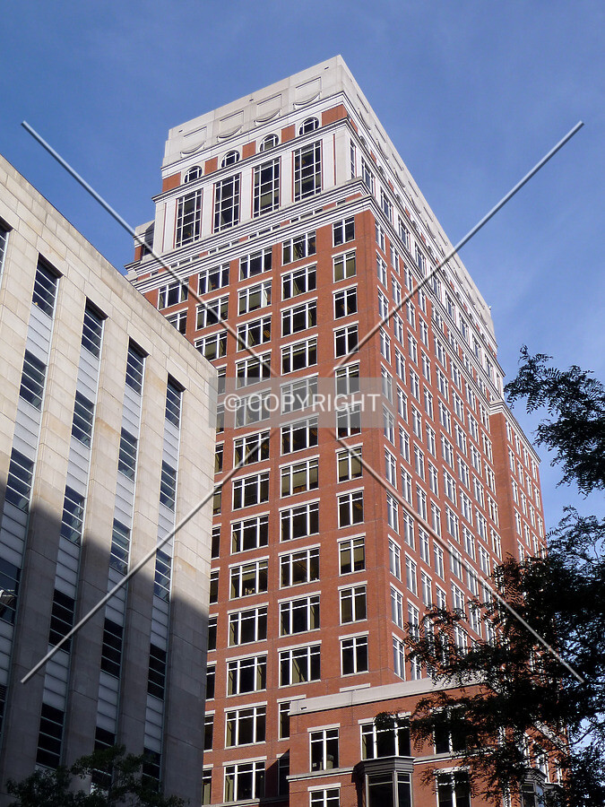 View from the southeast