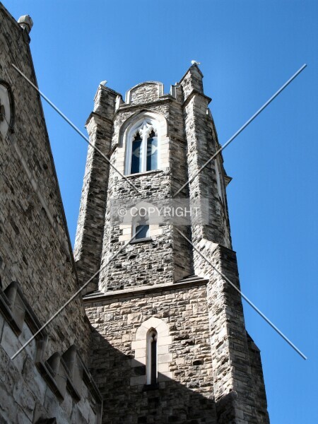 Photo 355-270-557
