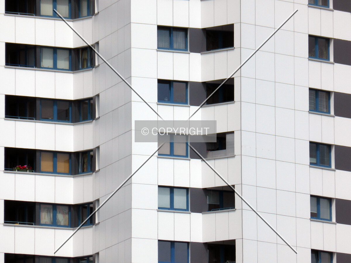 Facade and windows
