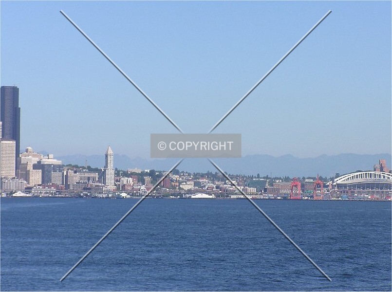Photo 359-041-986