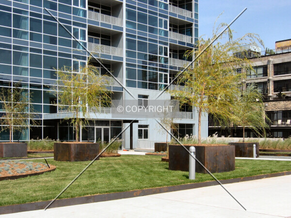 Plaza entrance and landscaping
