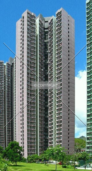 Photo 360-801-962
