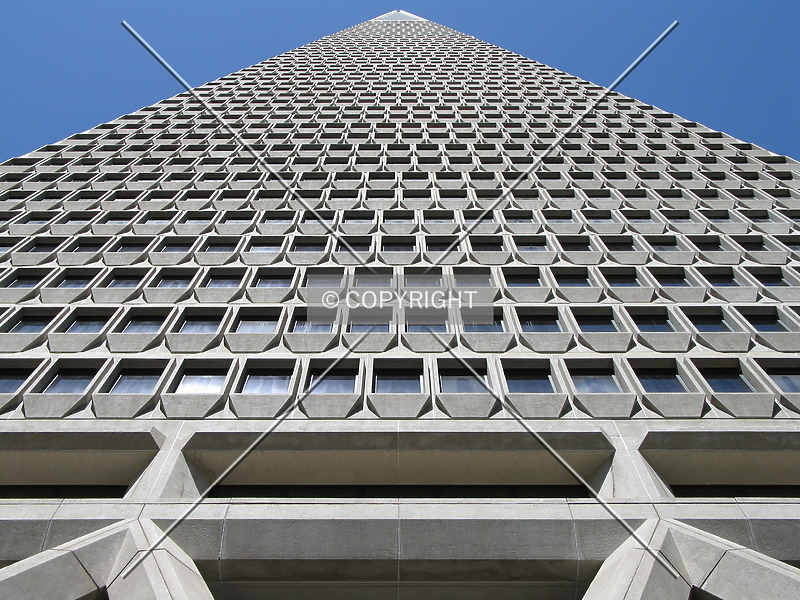 Photo 362-247-174