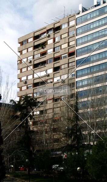Photo 365-585-392