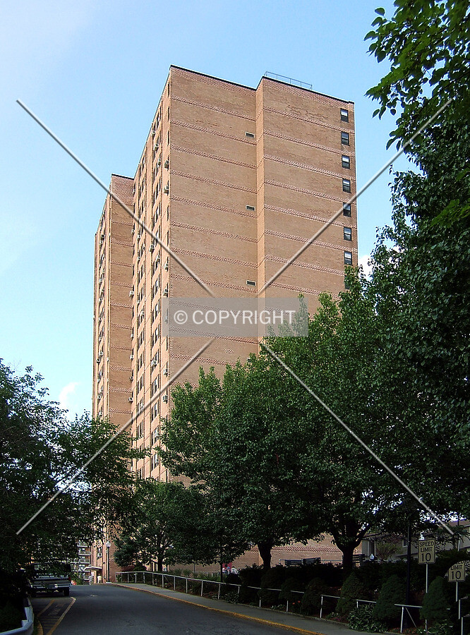 View from the southwest