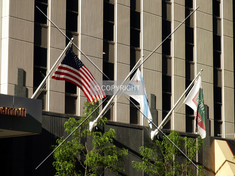 Photo 367-913-536