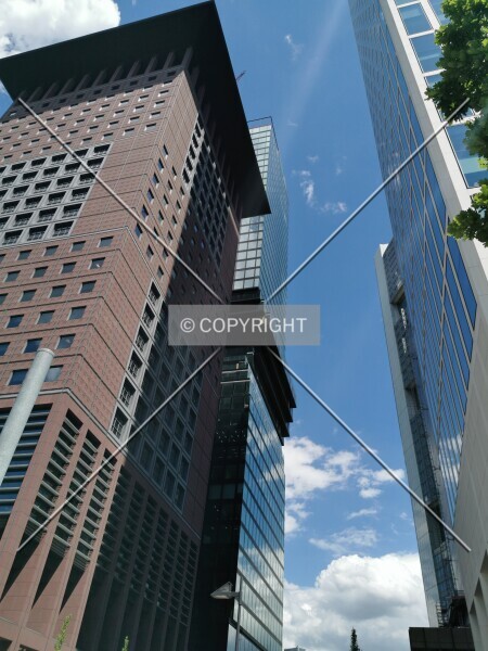 Photo 368-776-781