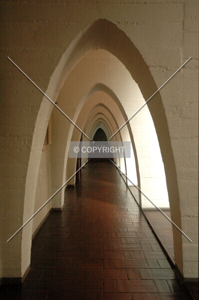 Photo 369-495-055